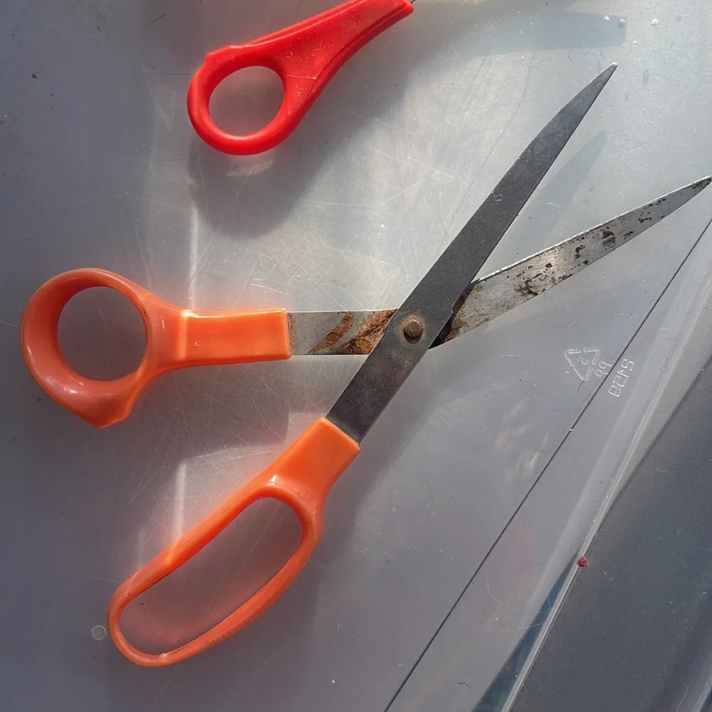Scissors - Picture 2 of 6